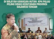 Workshop Identifikasi dan Pengendalian Konflik Tenurial di Kawasan Hutan Pulau Peling Hasilkan Rekomendasi Penting