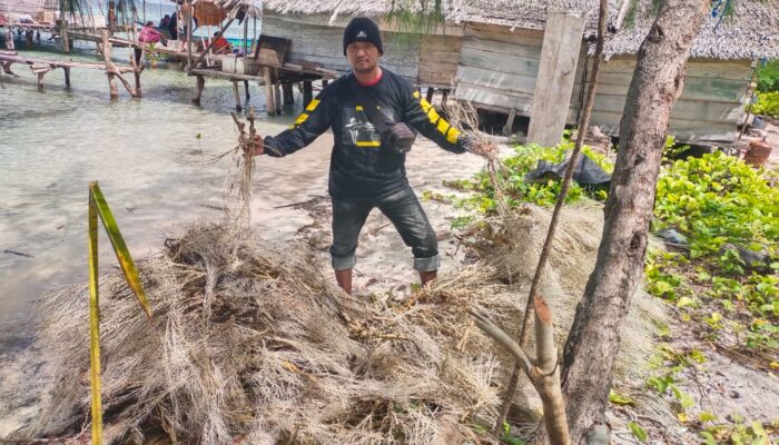 Satpolairud Polres Bangkep Bongkar Perdagangan Illegal Bambu Laut dan Bahan Bom Ikan di Banggai Laut