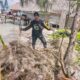 Satpolairud Polres Bangkep Bongkar Perdagangan Illegal Bambu Laut dan Bahan Bom Ikan di Banggai Laut