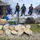 Polres Bangkep Amankan 2 Ton Bambu Laut dan Lepasliarkan 13 Penyu Langka