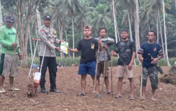 Sinergi Bhabinkamtibmas Polsek Tinangkung dan Warga Tanam Jagung di Desa Luksagu