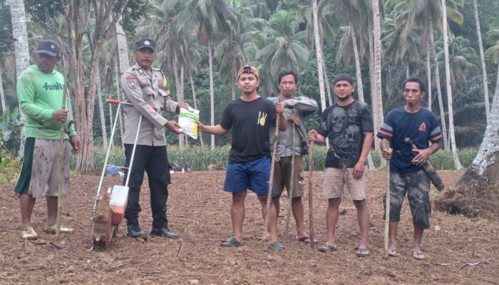 Sinergi Bhabinkamtibmas Polsek Tinangkung dan Warga Tanam Jagung di Desa Luksagu