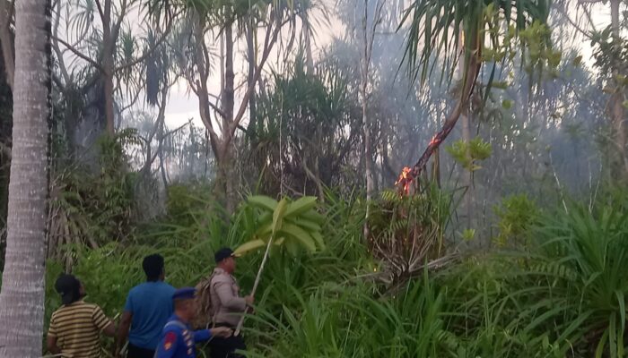 Sinergi Polres Bangkep dan Warga Jinakkan Kebakaran Lahan Perkebunan di Tinangkung