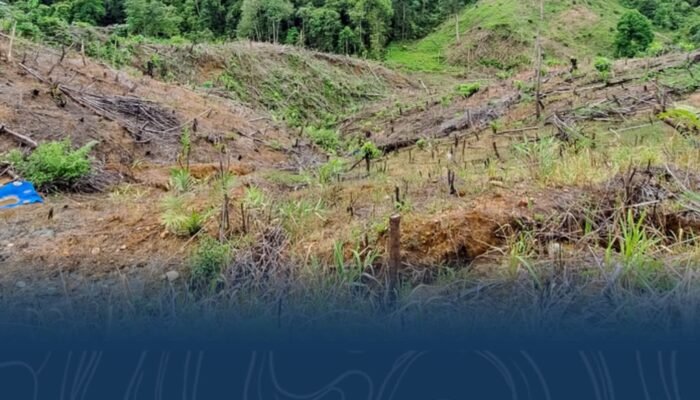 UU Pengaturan Reforma Agraria Buka Jalan Pemulihan Hak Masyarakat dalam Konflik Pertanahan